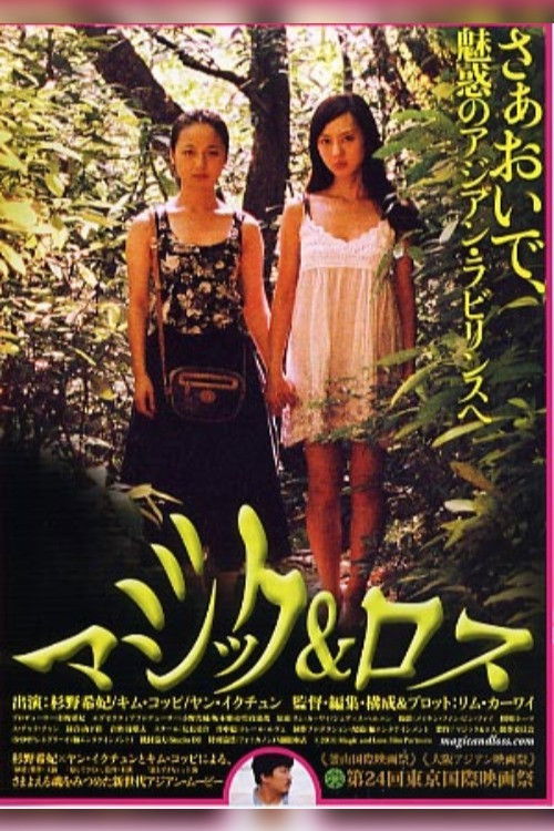 Magic and Loss (2010) poster