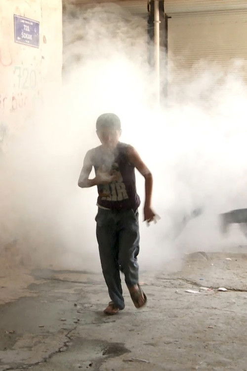 The Capsule (2013) poster