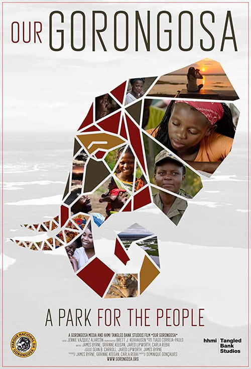 Our Gorongosa (2020) poster