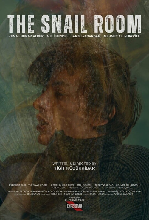 Salyangoz Odasi poster