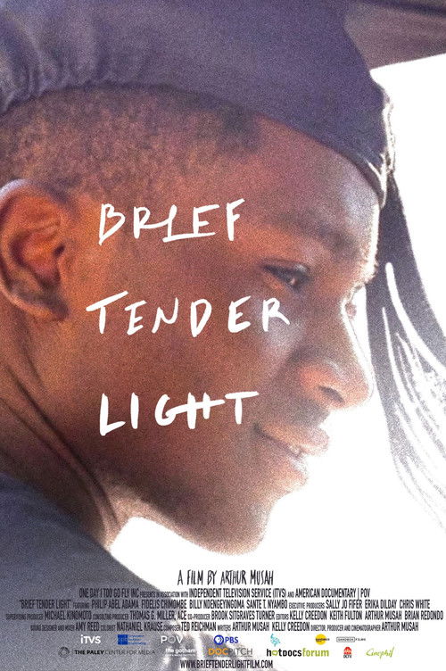 Brief Tender Light (2024) poster