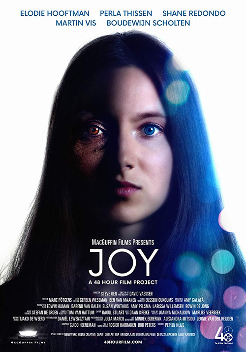 Joy (2019) poster
