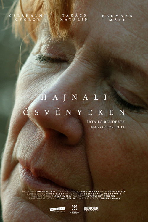Hajnali ösvényeken (2024) poster