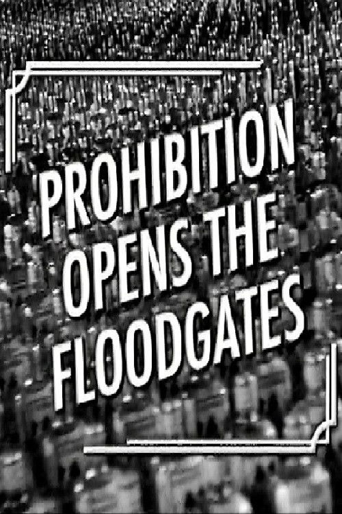 Prohibition Opens the Floodgates (2006) poster