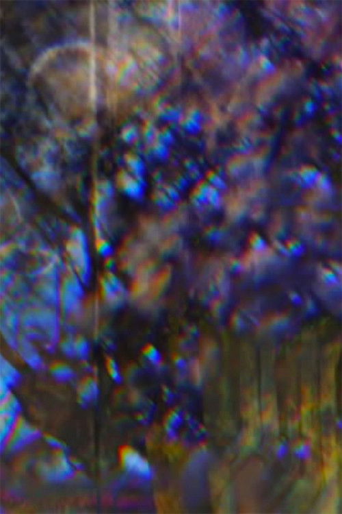 Wait Wait Spring (2016) poster