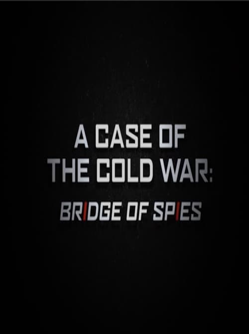 A Case of the Cold War: Bridge of Spies (2016) poster