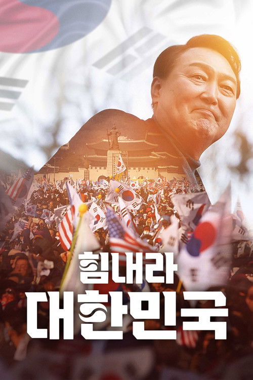 힘내라 대한민국 (2025) poster