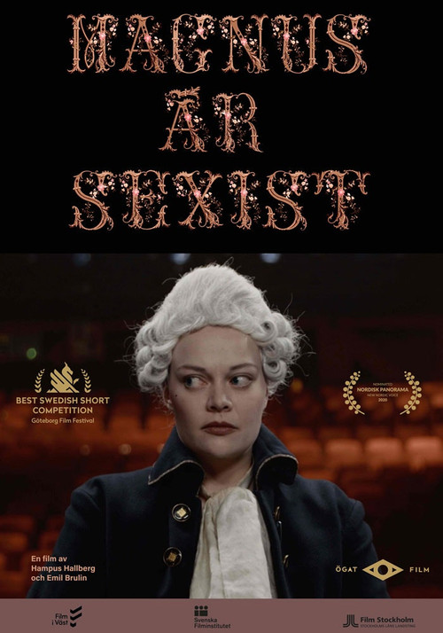 Magnus is a sexist (2021) poster