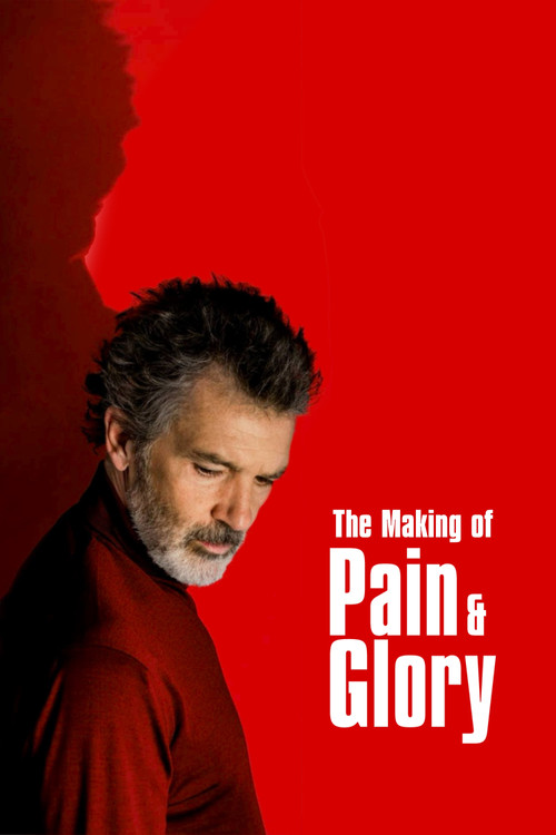 The Making of Pain and Glory (2020) poster