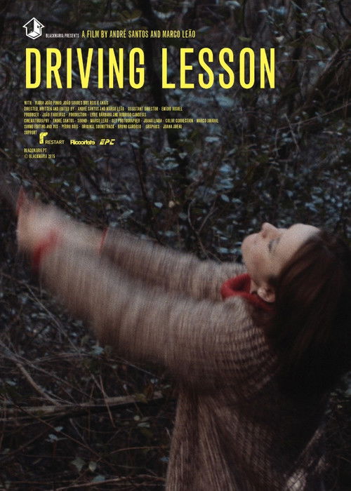 Driving Lesson (2015) poster