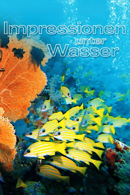 Impressionen unter Wasser (2002) poster