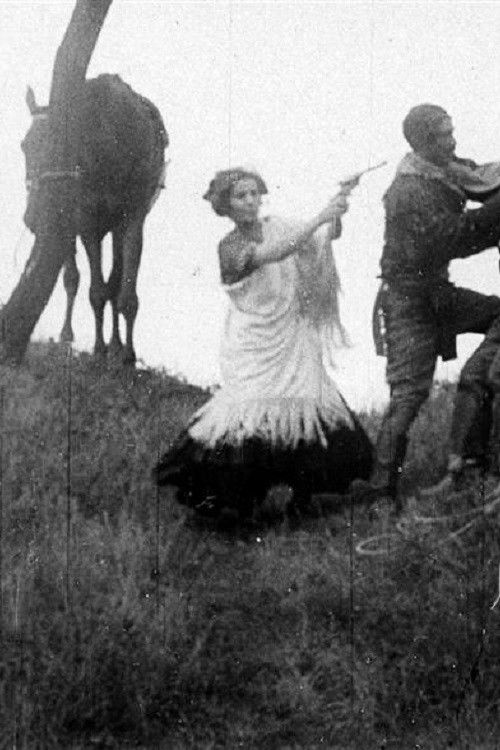 Sokové (1911) poster