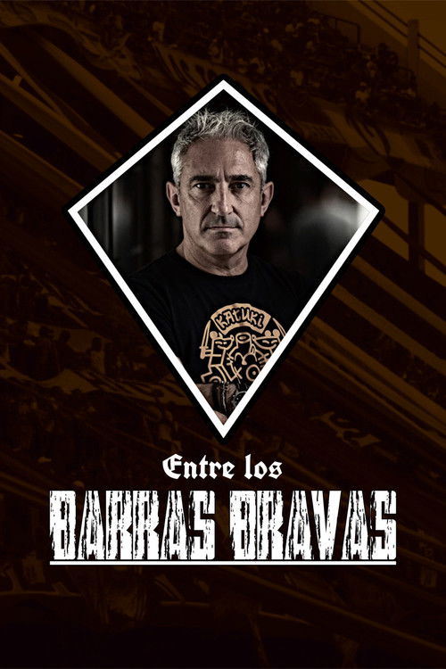 Entre los Barras Bravas (2011) poster