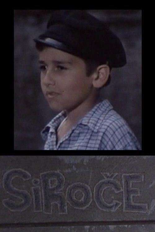 Orphan (1978) poster