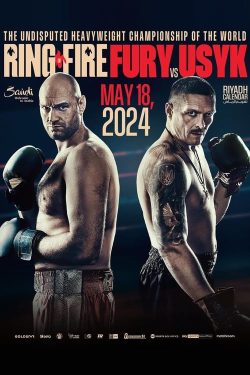 Tyson Fury vs. Oleksandr Usyk (2024) poster