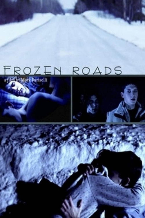 Frozen Roads (2012) poster