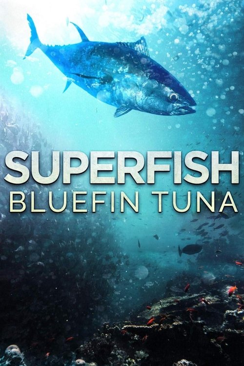 Superfish: Bluefin Tuna (2012) poster