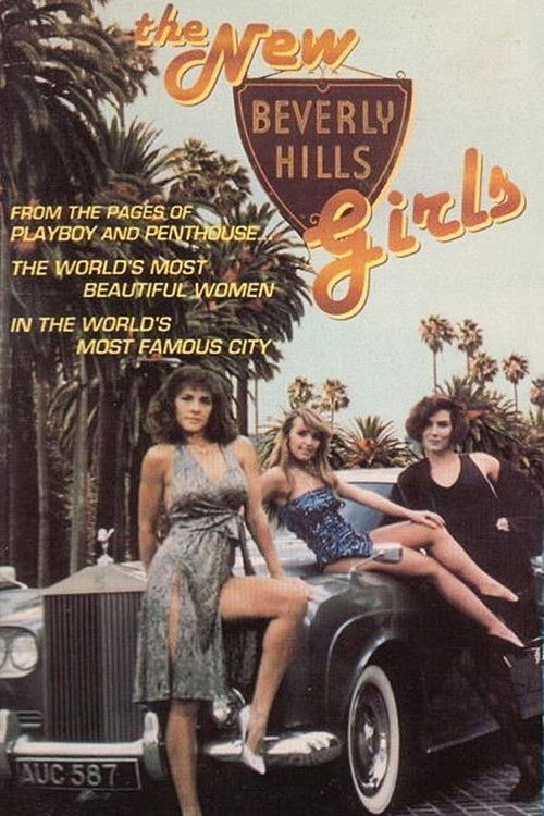 The New Beverly Hills Girls (1991) poster