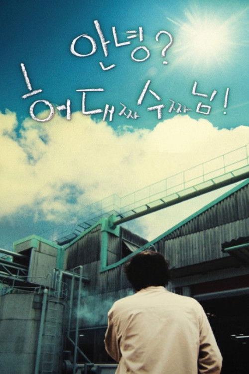 A Worker, Daesoo Heo Who Doesn't Want to Be Grandpa (2008) poster