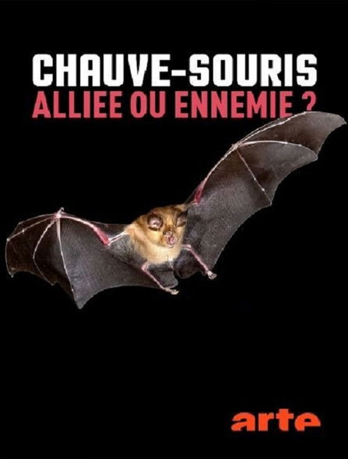 Chauve-souris: alliée ou ennemie? (2021) poster