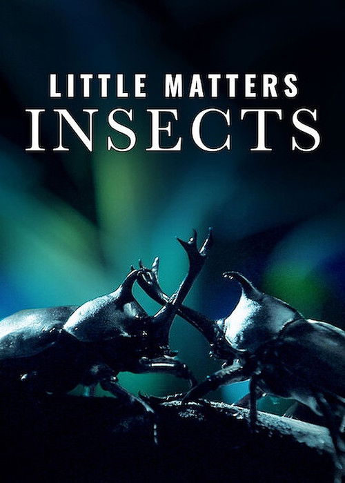 Little Matters: Insects (2015) poster