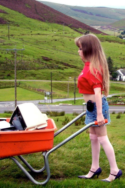 Little Red Hoodie (2009) poster