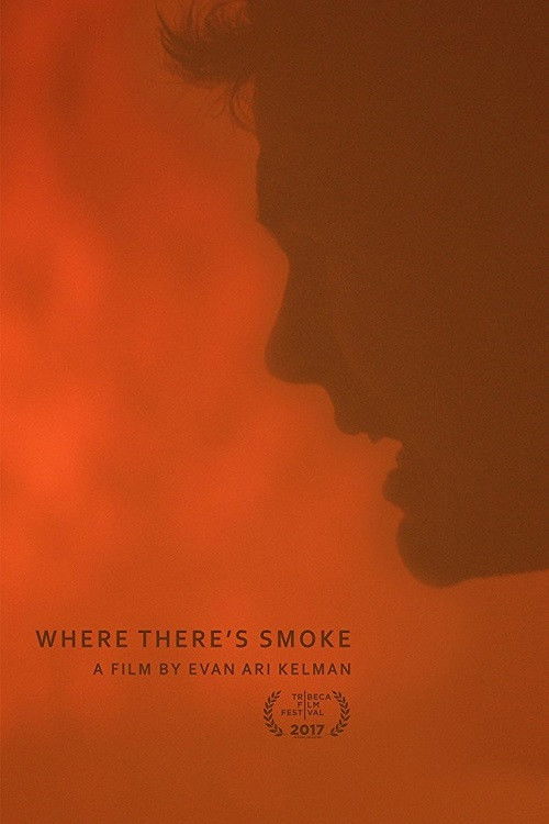 Where There's Smoke (2017) poster
