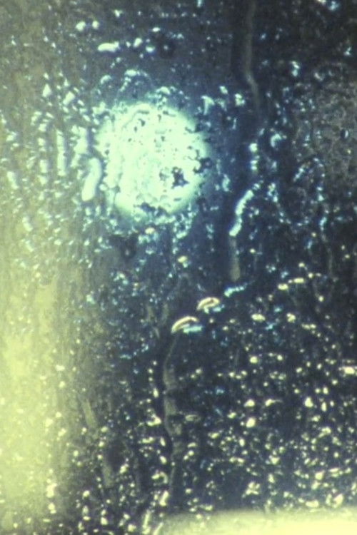 Third Law: N Kedzie Blvd. (2011) poster