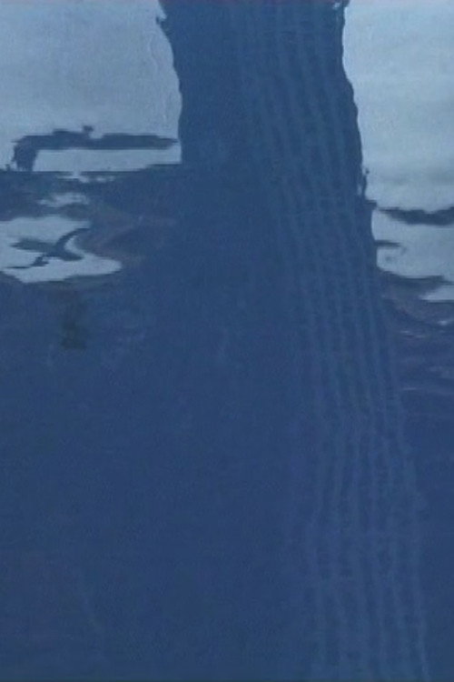 Le Cri (2001) poster