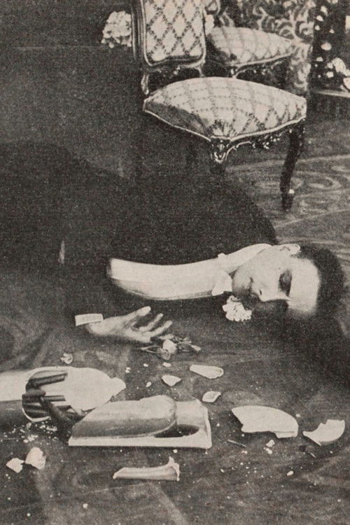 The Broken Vase (1913) poster