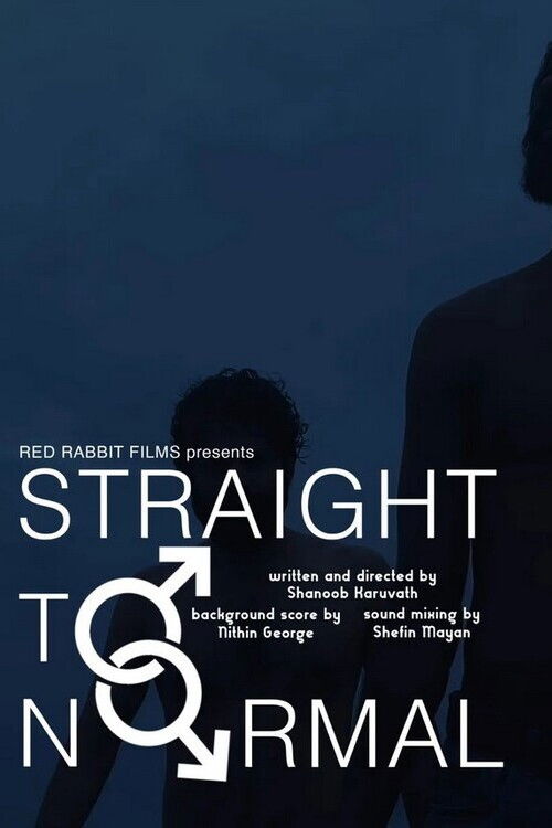 Straight to Normal (2023) poster
