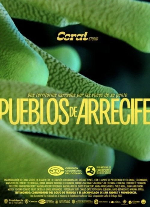 Pueblos de Arrecife (2024) poster