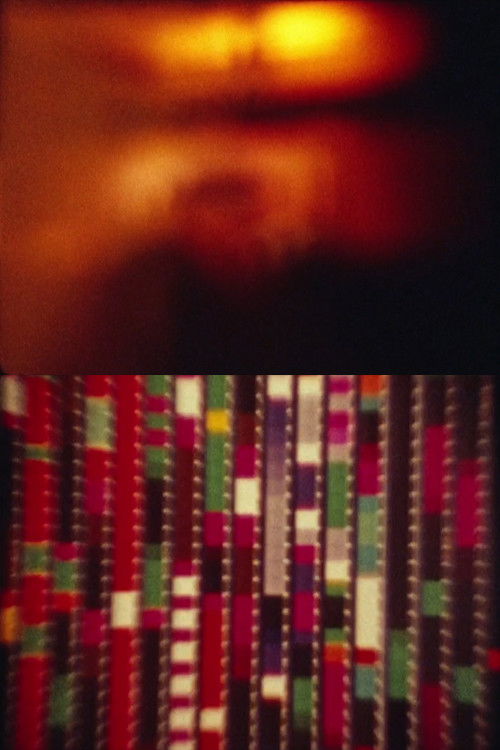 Sharits/Kassel 2015 (2020) poster