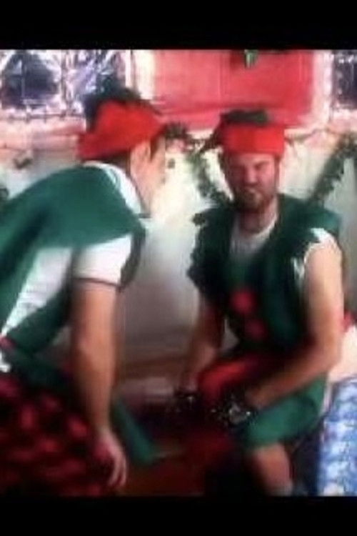 Dick Elves (2011) poster