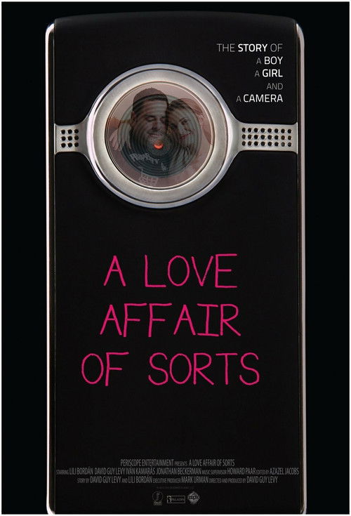 A Love Affair of Sorts (2011) poster