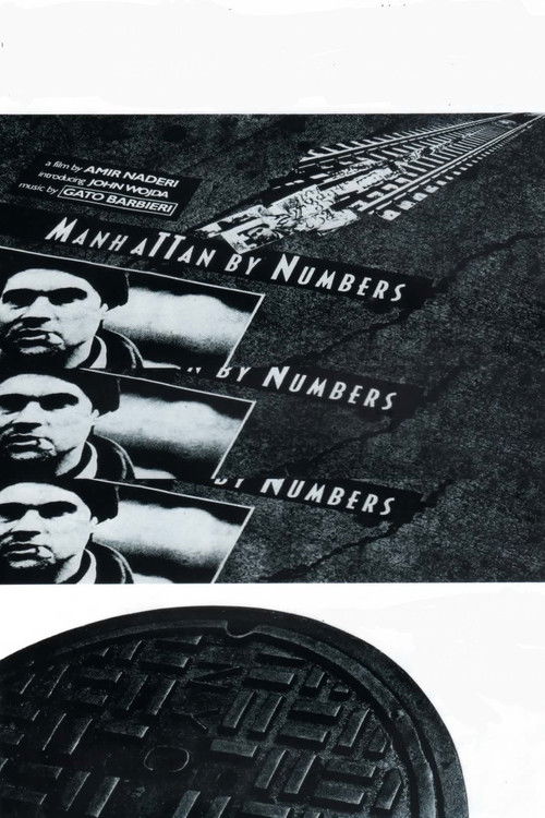 Manhattan by Numbers (1993) poster