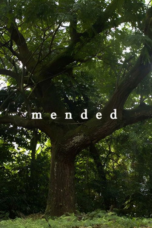 Mended (2022) poster