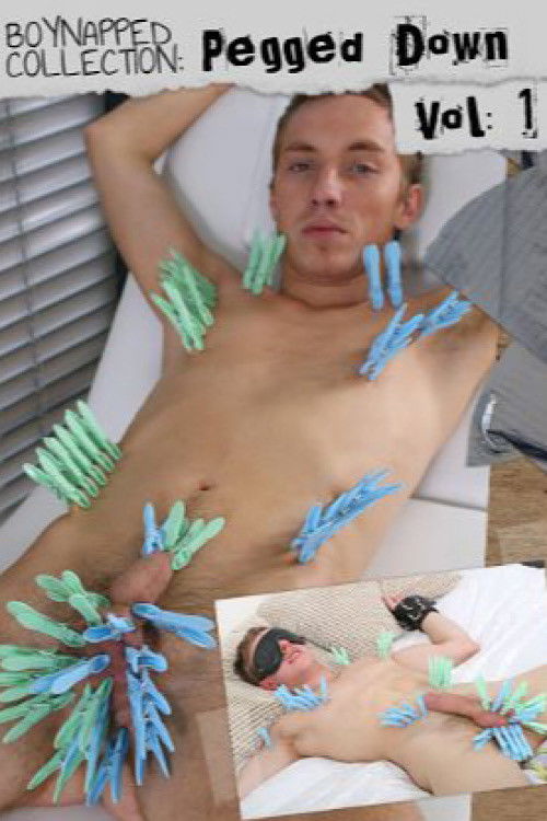 Boynapped Collection: Pegged Down Vol. 1 (2013) poster