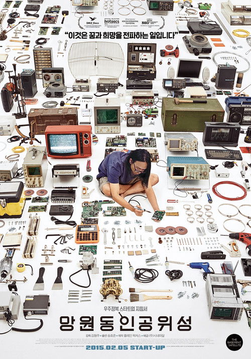 The Basement Satellite (2015) poster