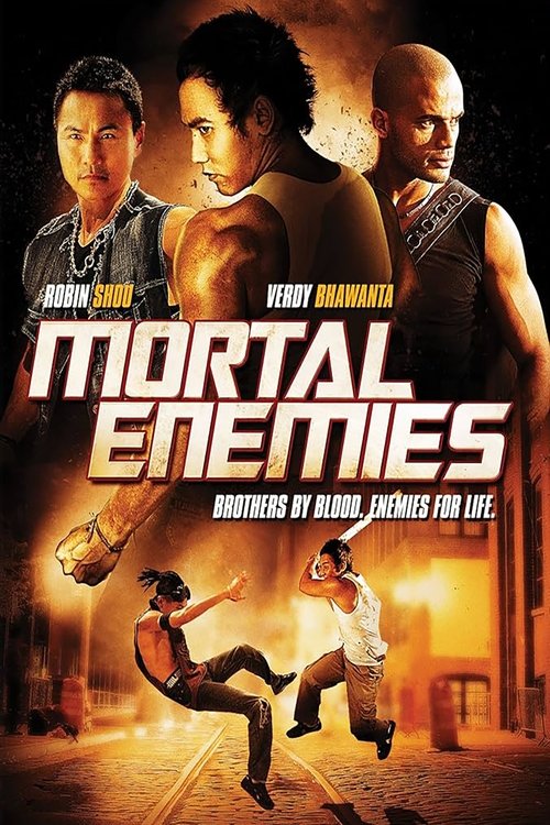 Mortal Enemies (2011) poster