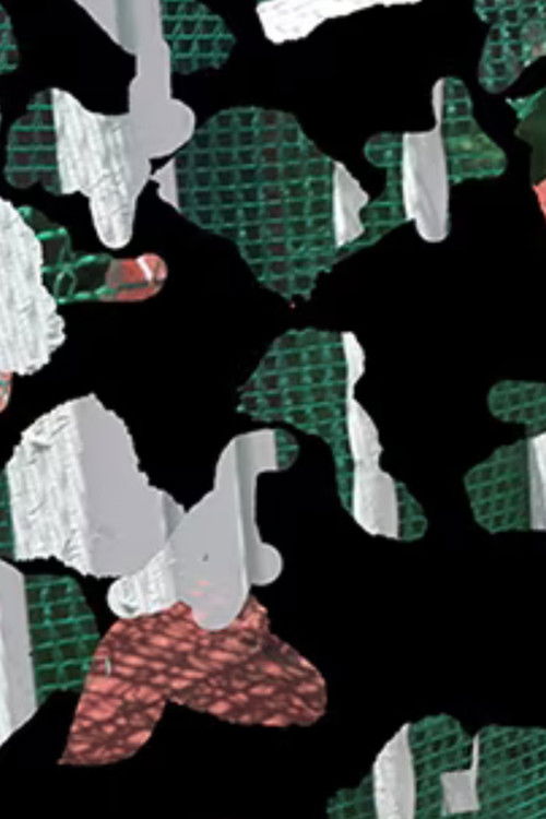 Ornithology 6 (2021) poster