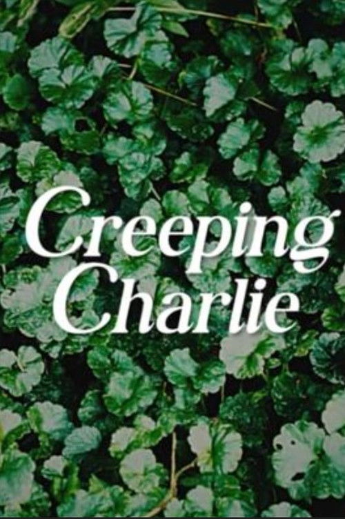 Creeping Charlie (2025) poster