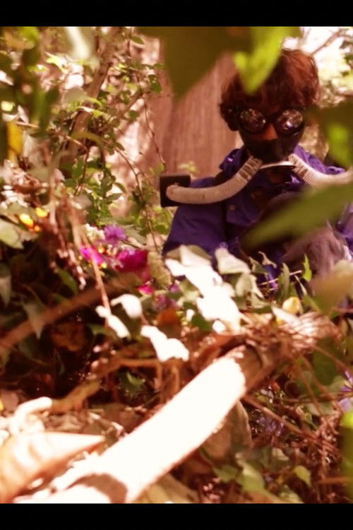 Pasithea's Bloom (2018) poster