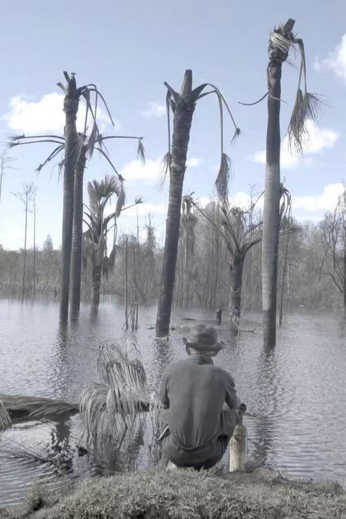 Santino (2023) poster