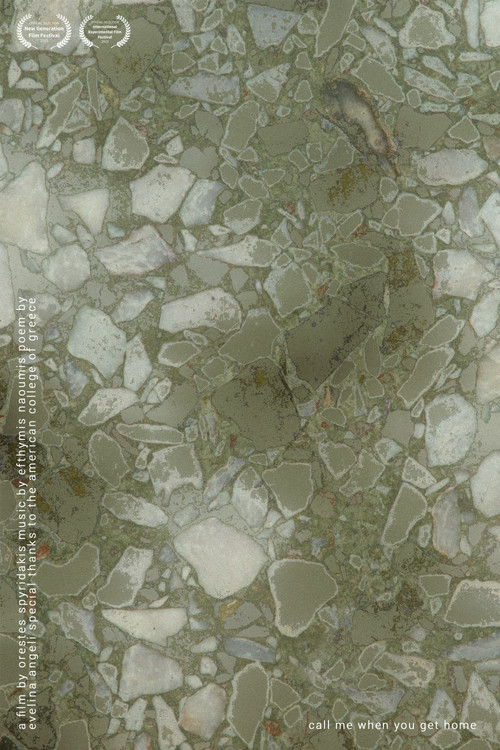 call me when you get home (2023) poster