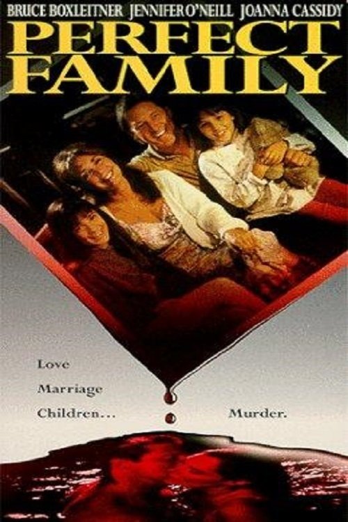 Perfect Family (1992) poster