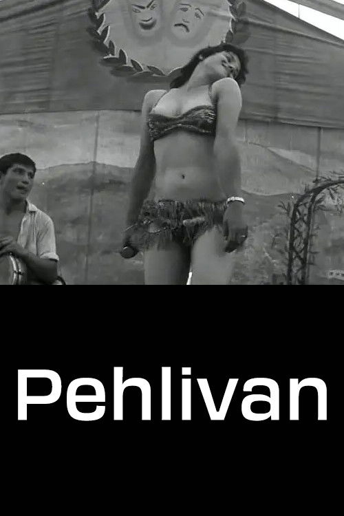 Pehlivan (1964) poster