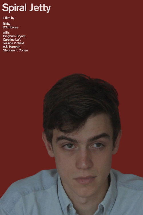 Spiral Jetty (2017) poster