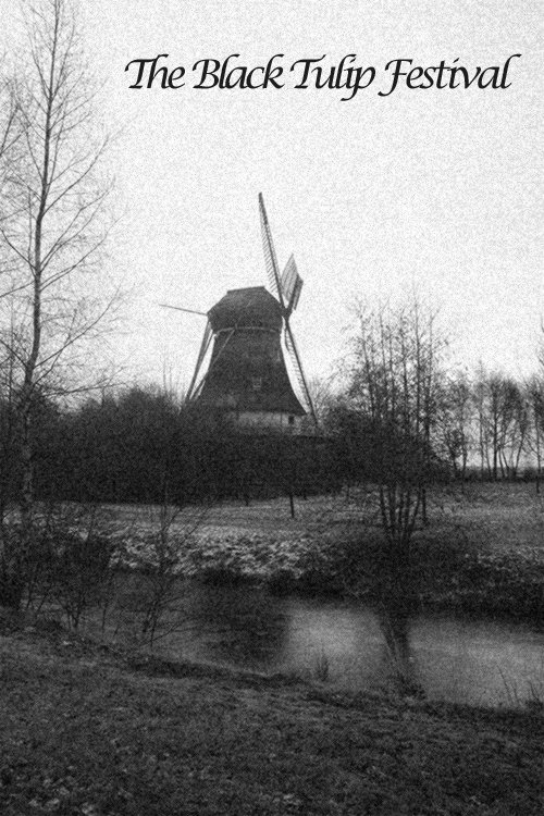 The Black Tulip Festival (1920) poster