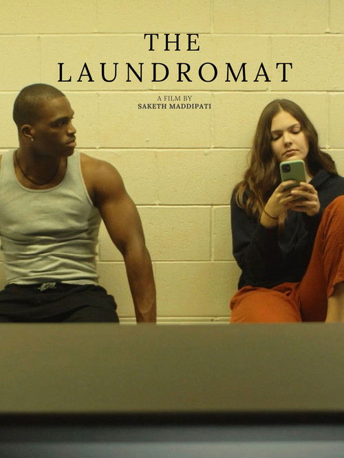 The Laundromat (2022) poster